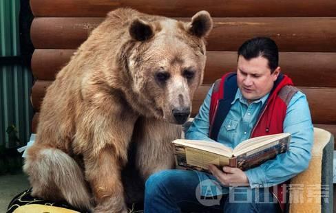 战斗民族俄罗斯人能否与熊和平共处？