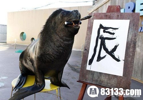 日本海狮能嘴叼毛笔写出汉字