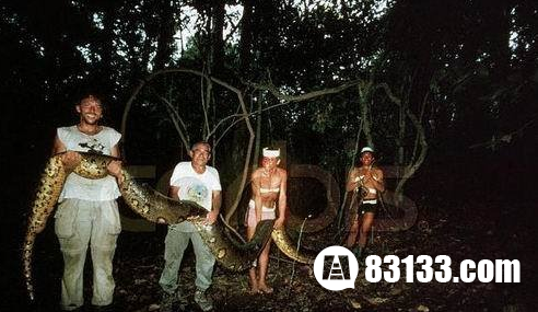 世界上最长的蟒蛇