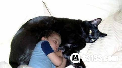 惨遭核辐射，乌克兰巨猫世界最大