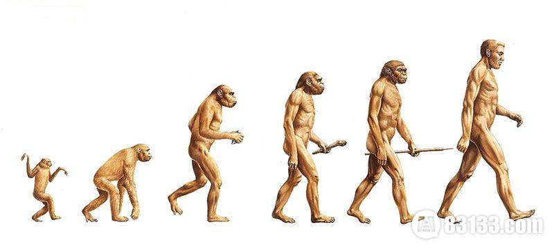 进化论图解