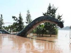 重庆大洪水拍摄的龙的照片