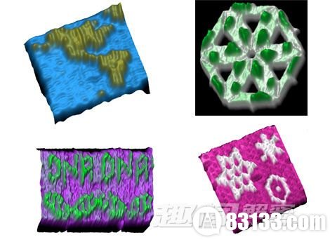 DNA结构微型芯片