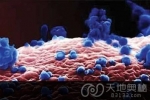 惊人发现！日本科学家造超级病毒