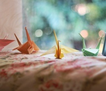 五颜六色的千纸鹤祝愿  小清新可爱唯美图片