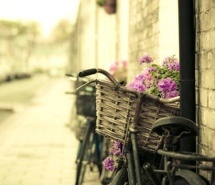 骑着单车去旅行 唯美小清新图片